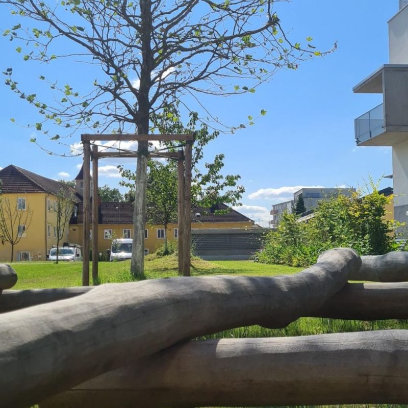 Blick im Graumann-Viertel auf Platane, davor Kletter-Holz.